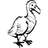 dodo.here